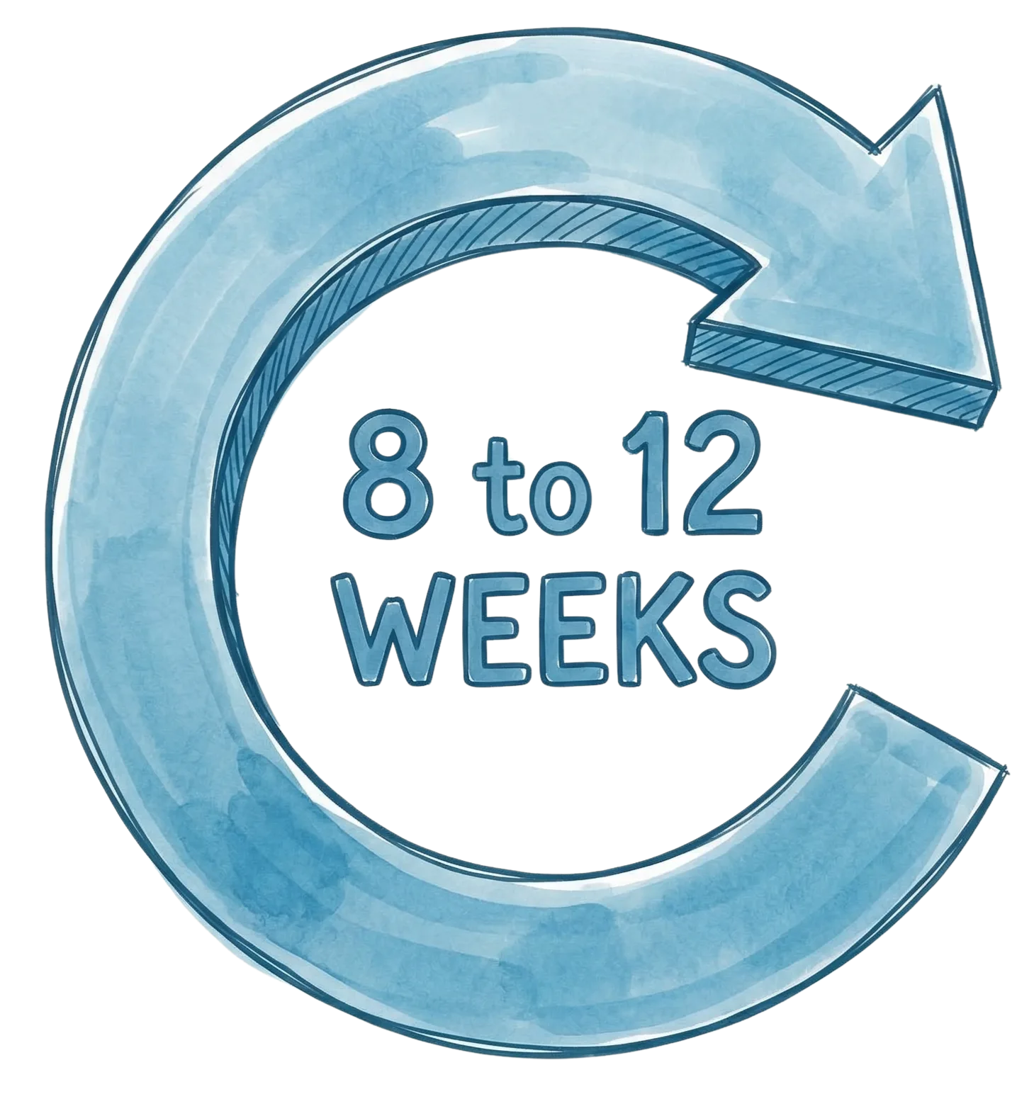 Corrective care timeline — 8 to 12 weeks